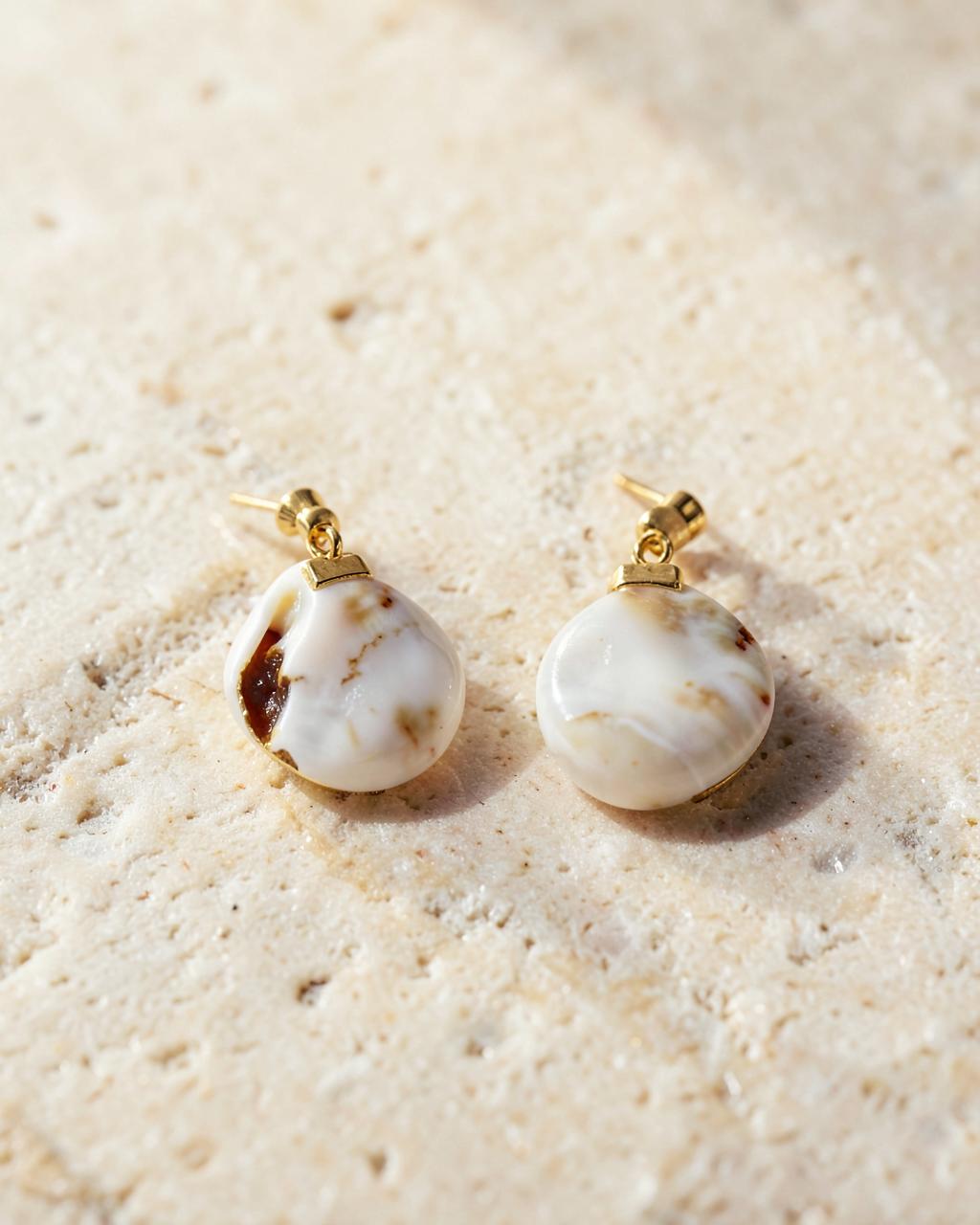 Cowrie Shell
